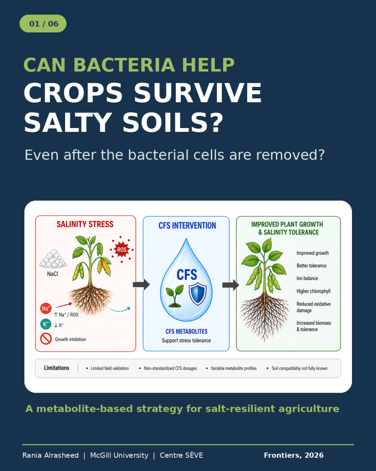 01_CFS_salinity_carousel